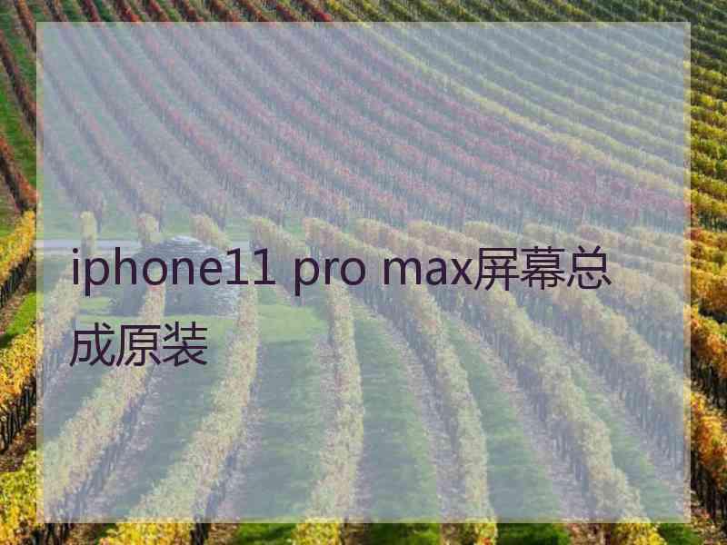 iphone11 pro max屏幕总成原装