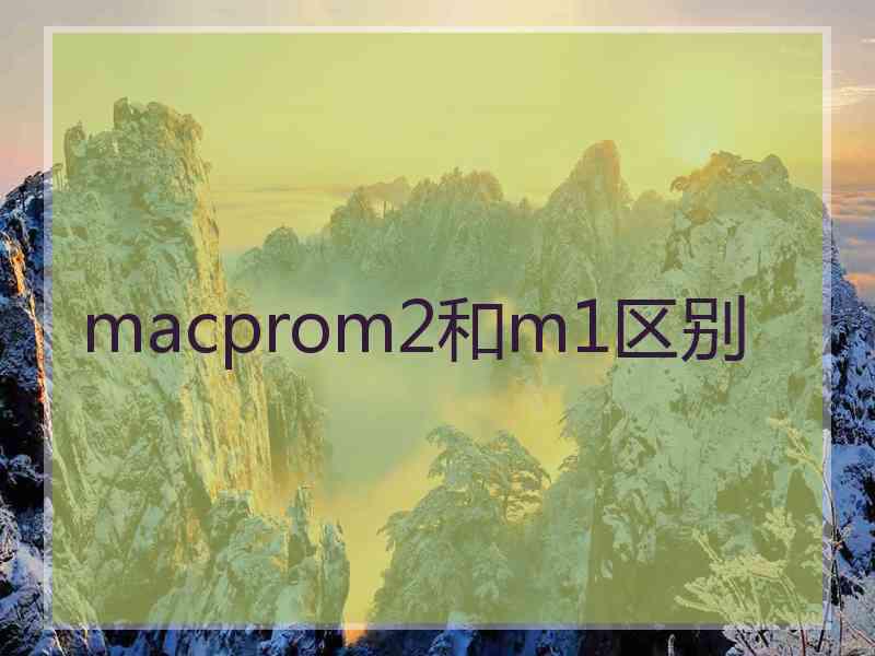 macprom2和m1区别