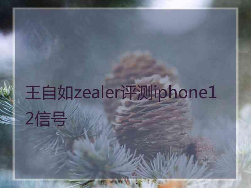 王自如zealer评测iphone12信号