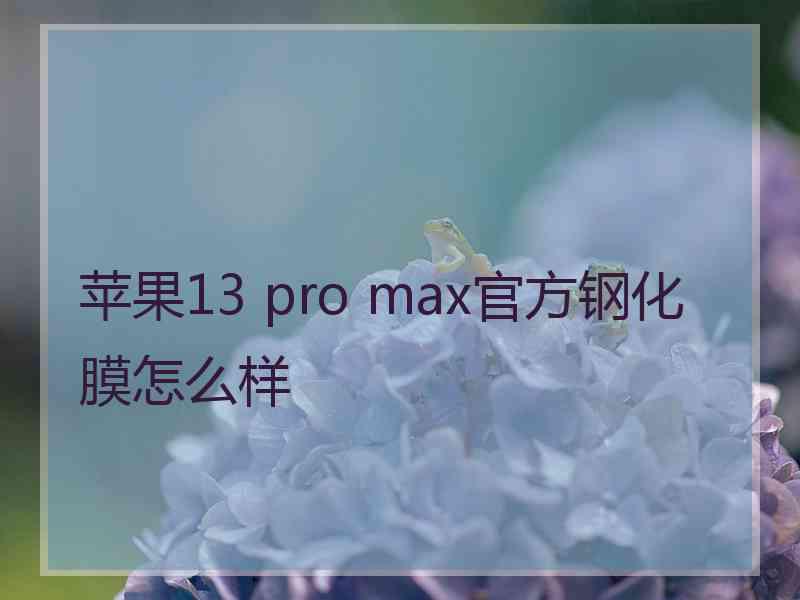 苹果13 pro max官方钢化膜怎么样