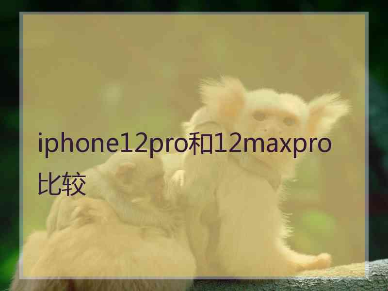 iphone12pro和12maxpro比较