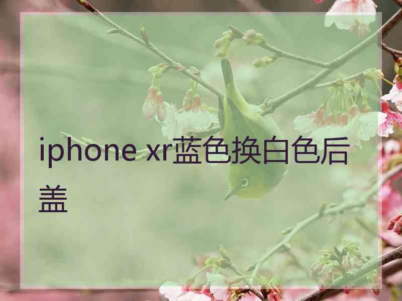 iphone xr蓝色换白色后盖