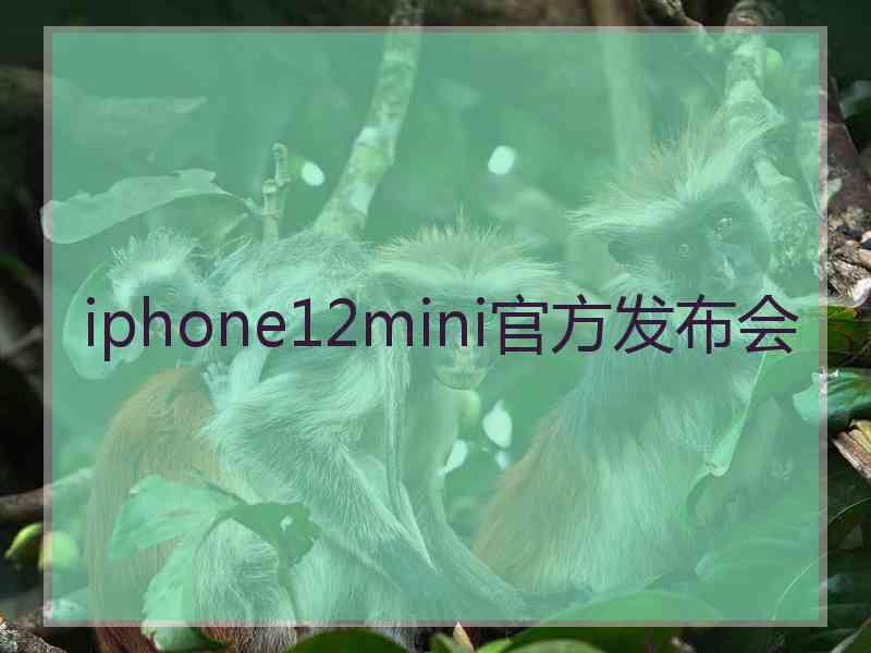 iphone12mini官方发布会