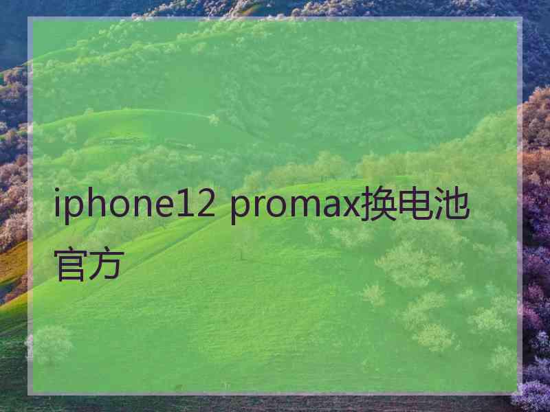 iphone12 promax换电池官方