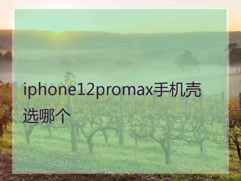 iphone12promax手机壳选哪个