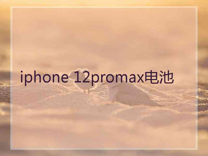 iphone 12promax电池