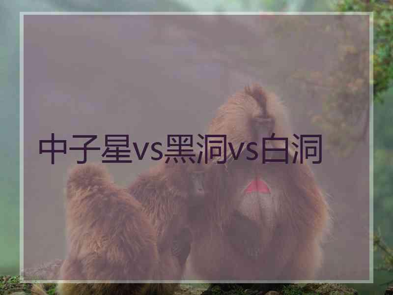 中子星vs黑洞vs白洞