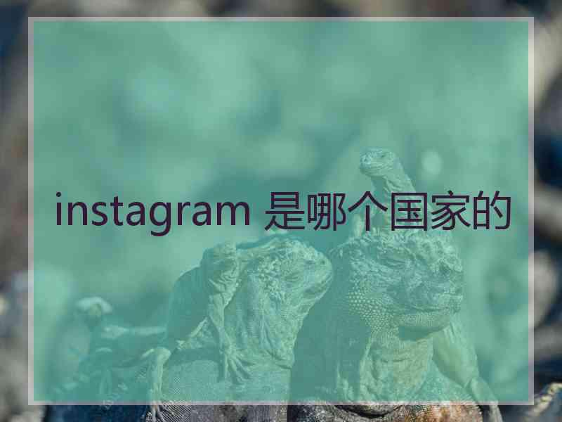 instagram 是哪个国家的