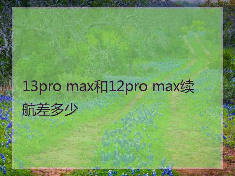 13pro max和12pro max续航差多少