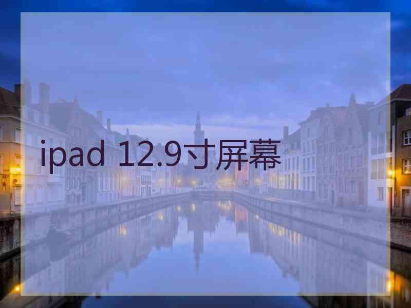 ipad 12.9寸屏幕