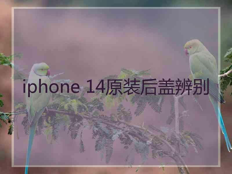 iphone 14原装后盖辨别