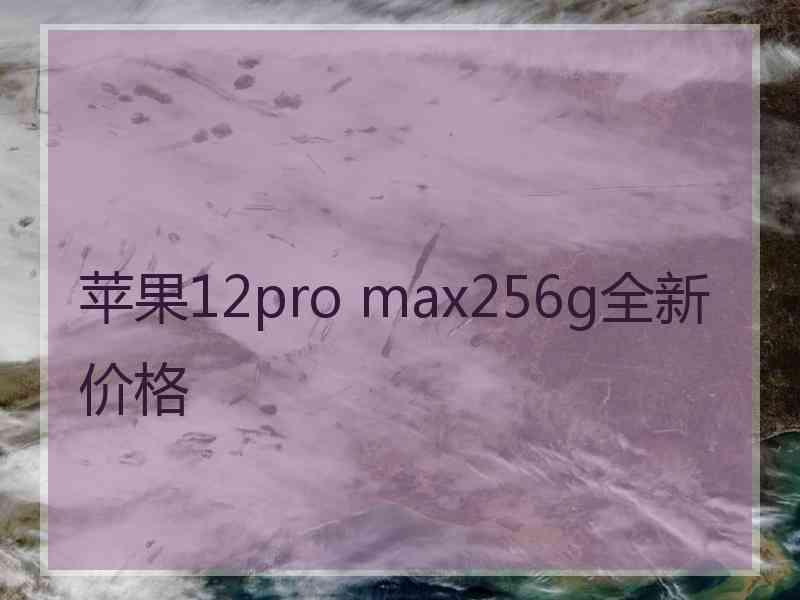 苹果12pro max256g全新价格