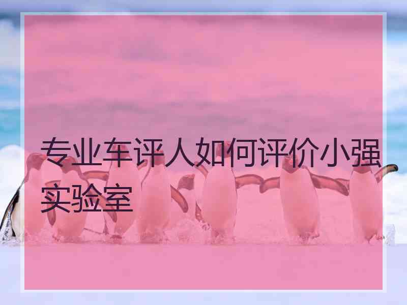 专业车评人如何评价小强实验室