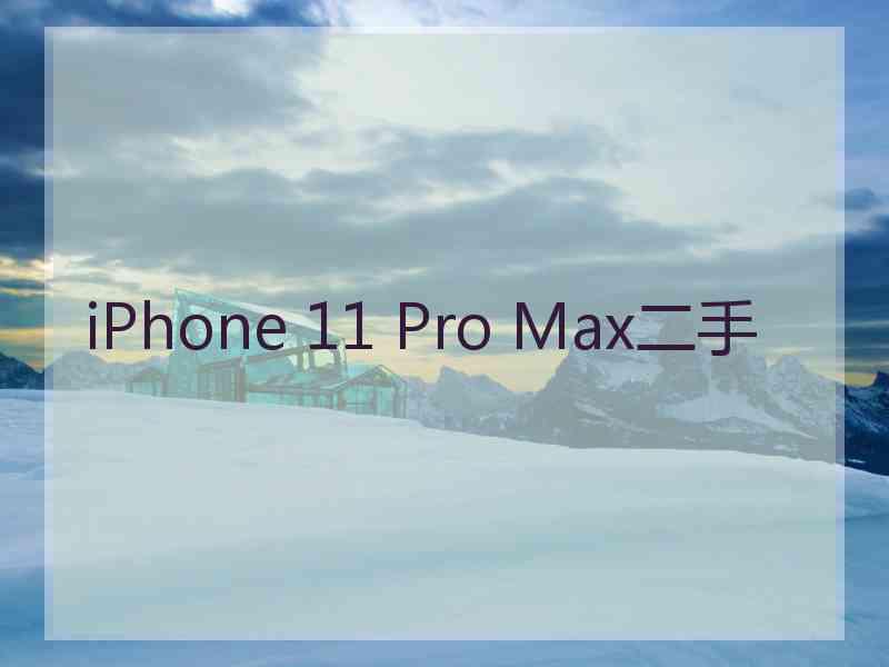 iPhone 11 Pro Max二手