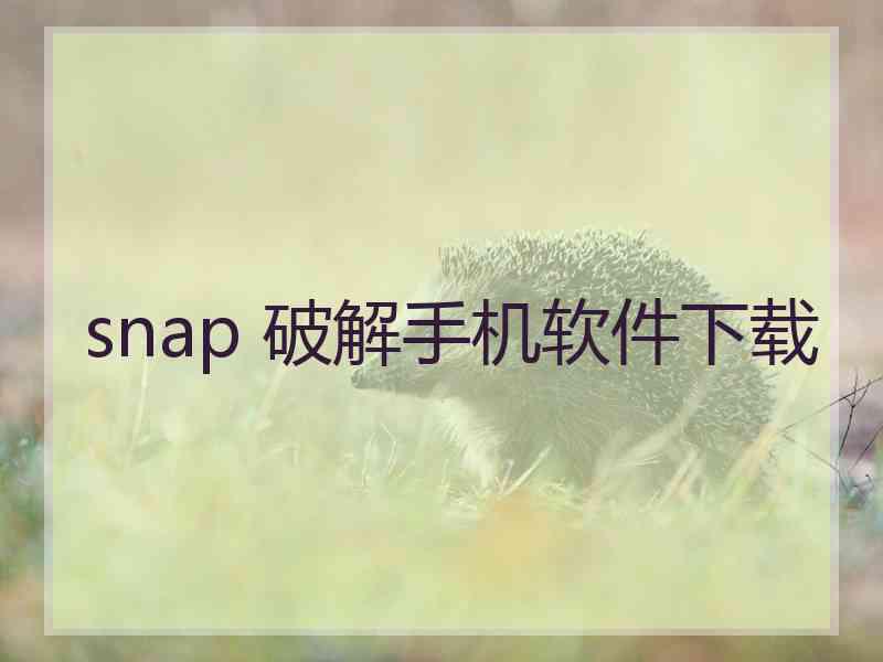 snap 破解手机软件下载