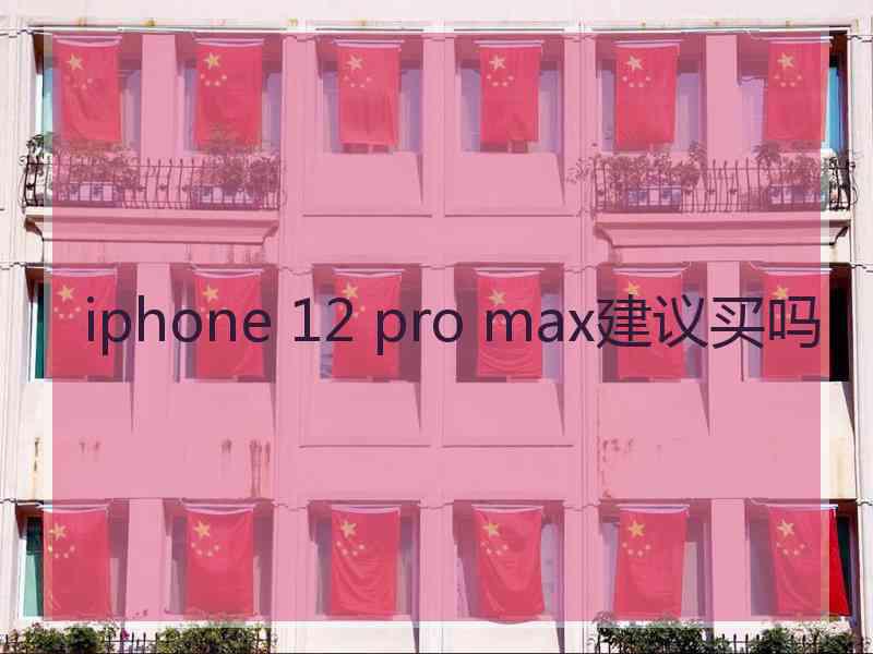 iphone 12 pro max建议买吗