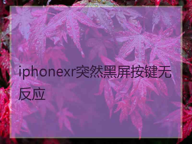 iphonexr突然黑屏按键无反应