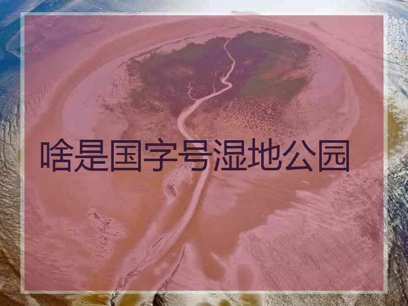 啥是国字号湿地公园