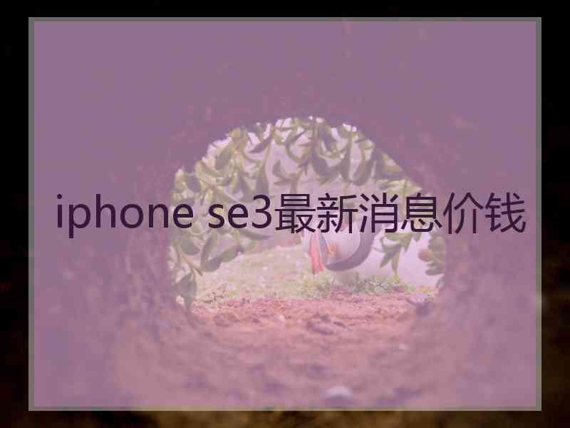 iphone se3最新消息价钱