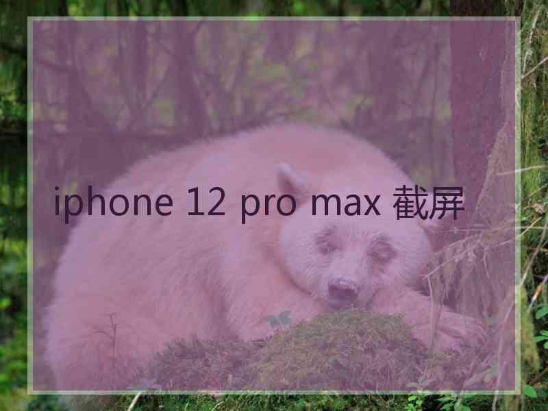 iphone 12 pro max 截屏