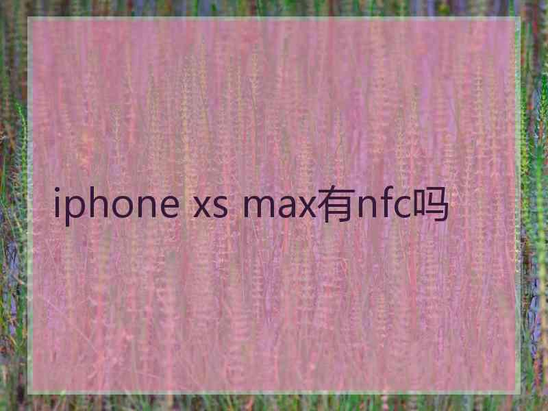 iphone xs max有nfc吗