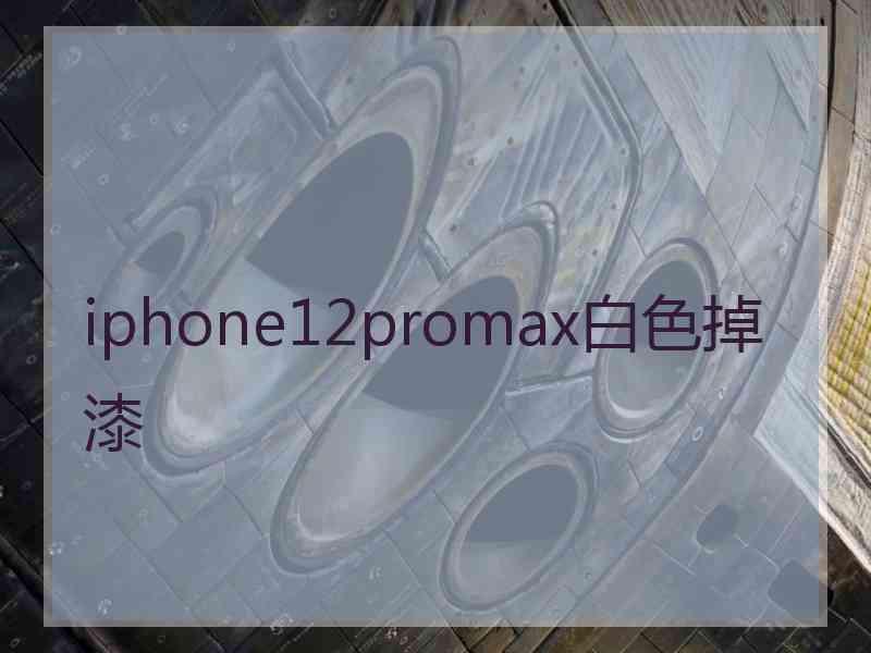 iphone12promax白色掉漆