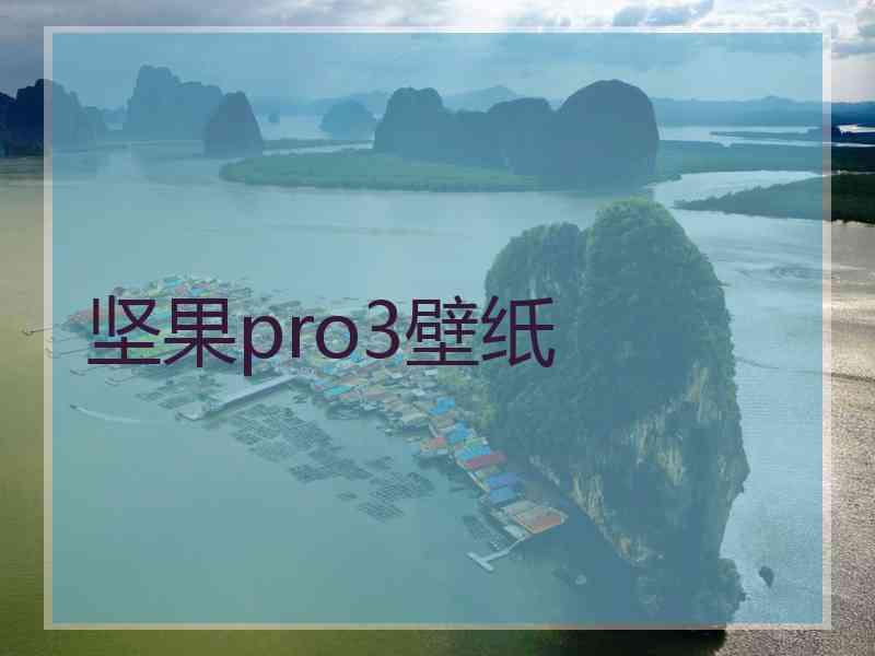 坚果pro3壁纸