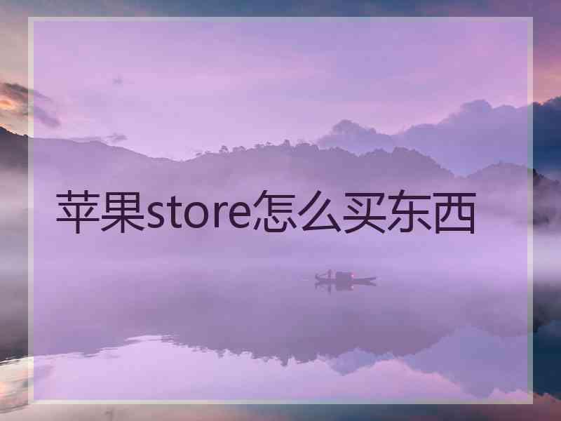 苹果store怎么买东西