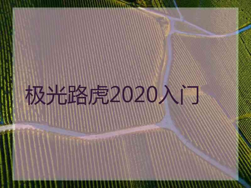 极光路虎2020入门