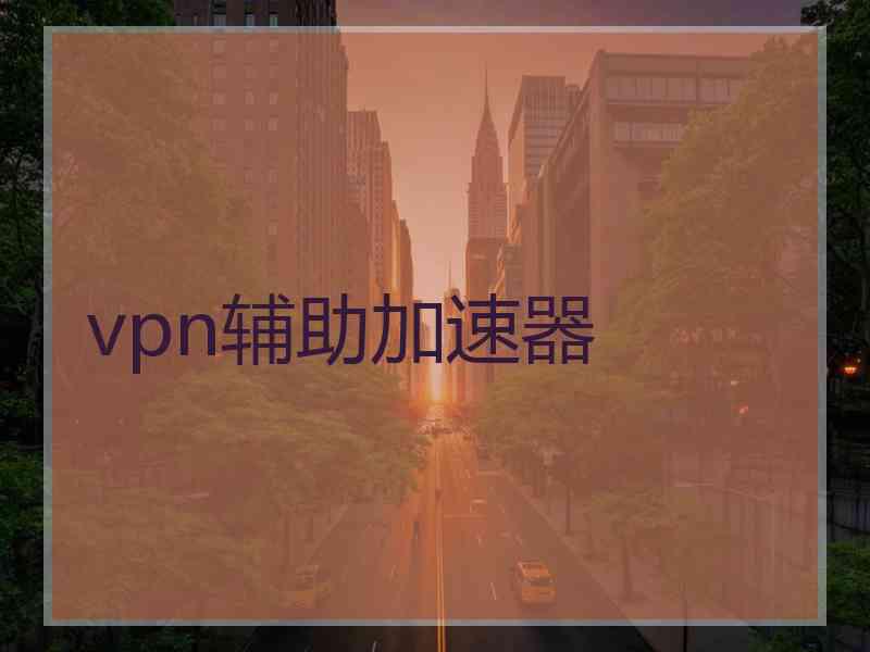 vpn辅助加速器