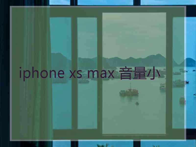 iphone xs max 音量小