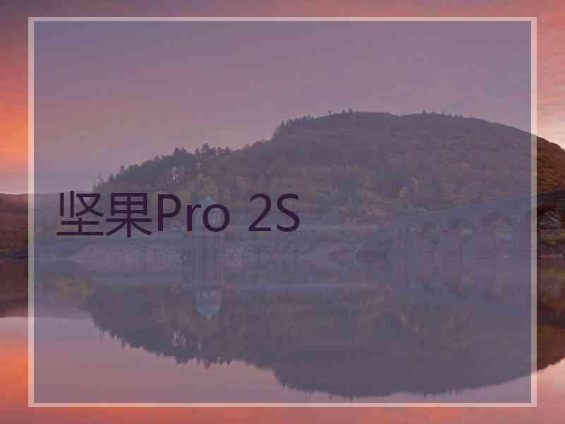 坚果Pro 2S