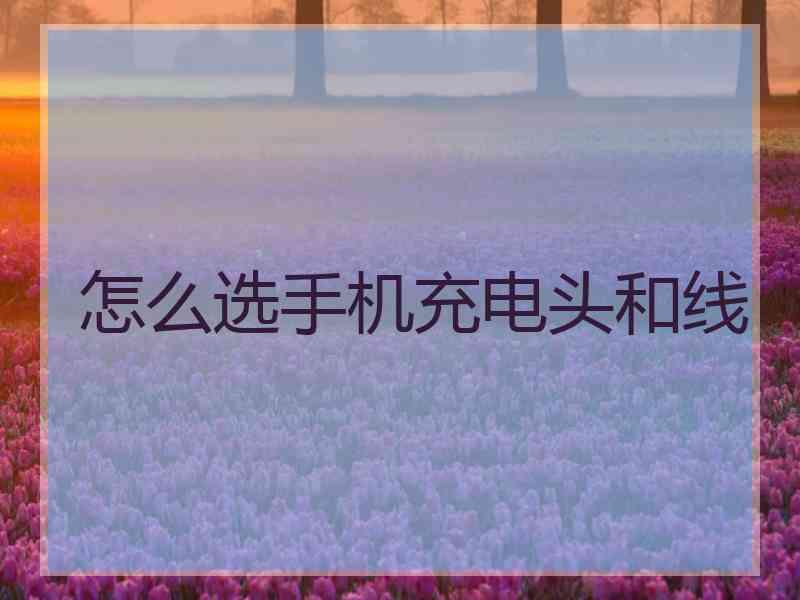 怎么选手机充电头和线