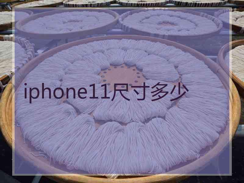 iphone11尺寸多少