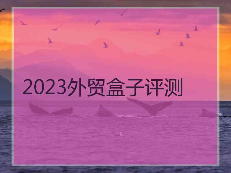 2023外贸盒子评测