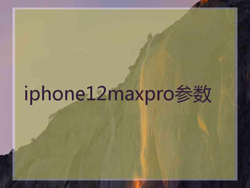 iphone12maxpro参数