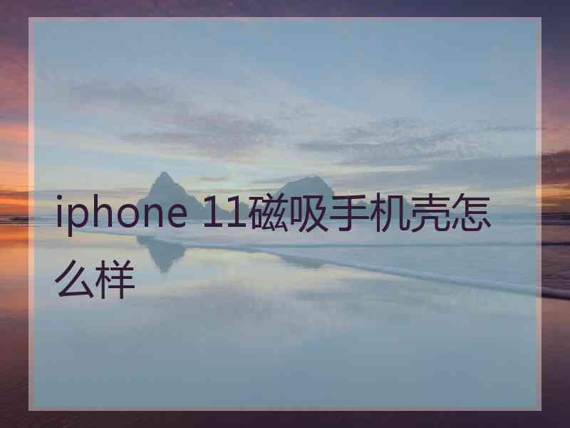 iphone 11磁吸手机壳怎么样