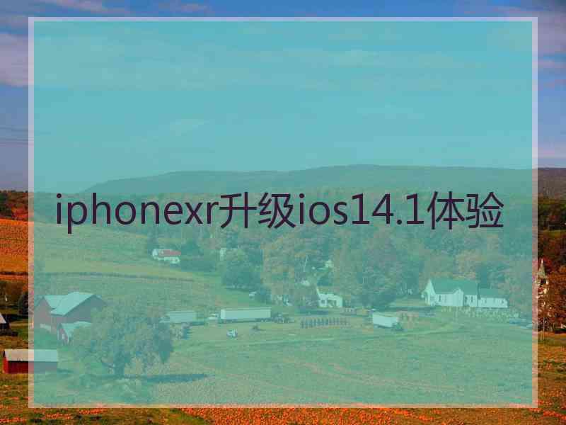 iphonexr升级ios14.1体验