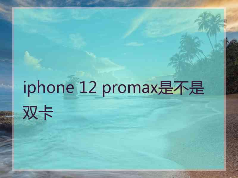 iphone 12 promax是不是双卡