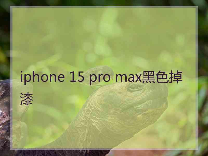 iphone 15 pro max黑色掉漆