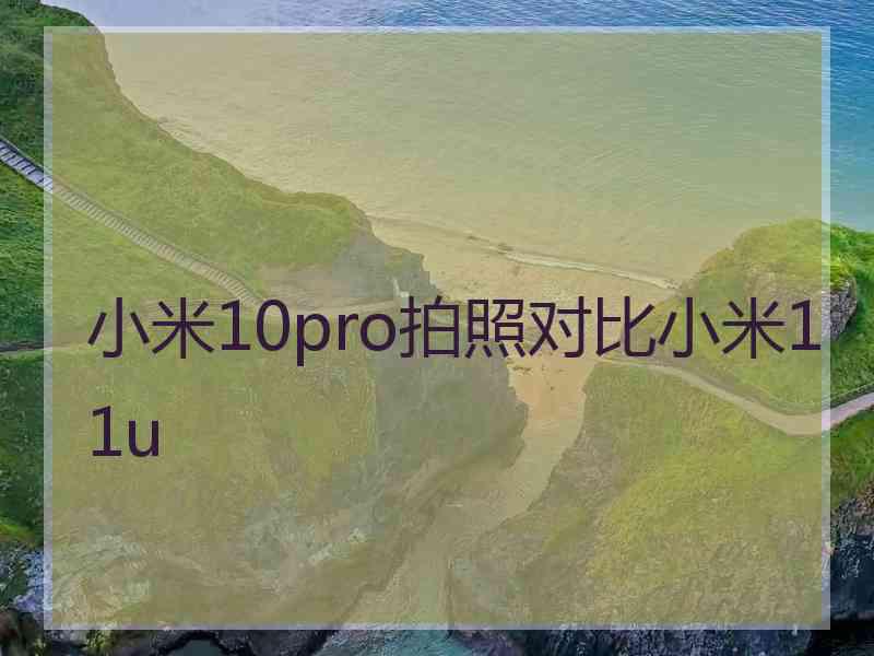 小米10pro拍照对比小米11u