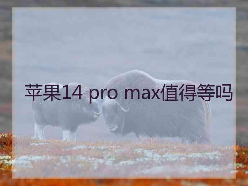 苹果14 pro max值得等吗