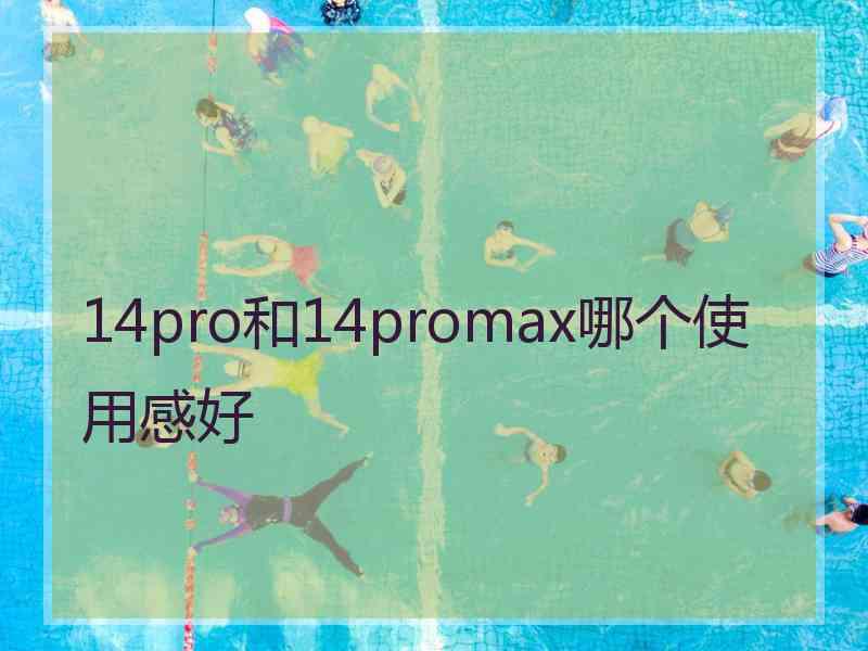 14pro和14promax哪个使用感好