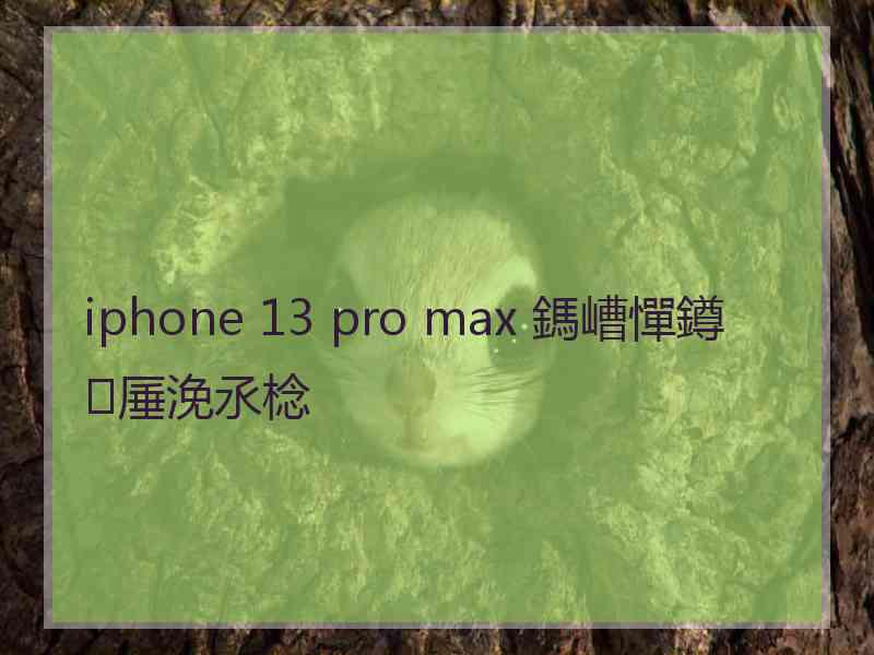 iphone 13 pro max 鎷嶆憚鐏厜浼氶棯