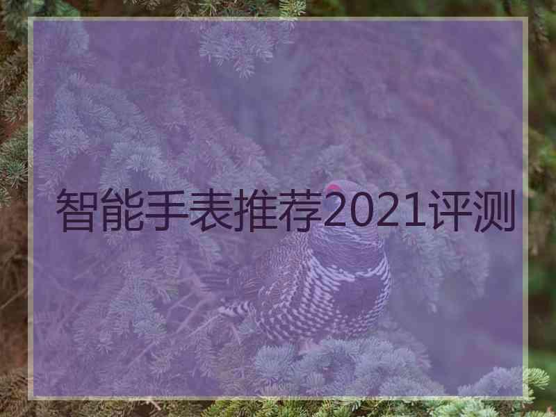 智能手表推荐2021评测