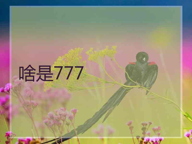 啥是777