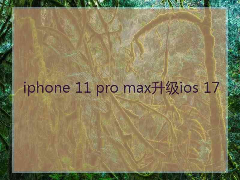 iphone 11 pro max升级ios 17