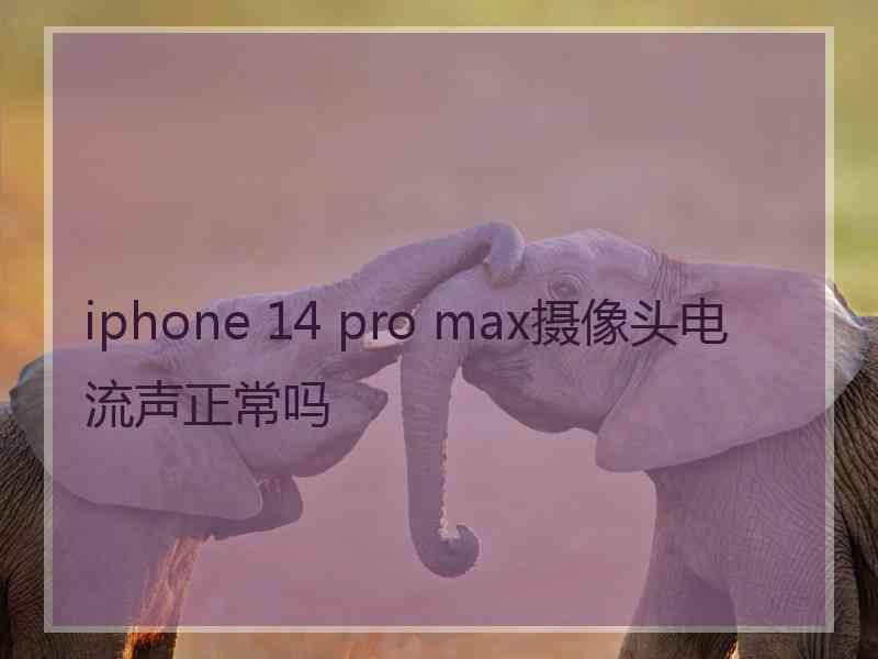 iphone 14 pro max摄像头电流声正常吗