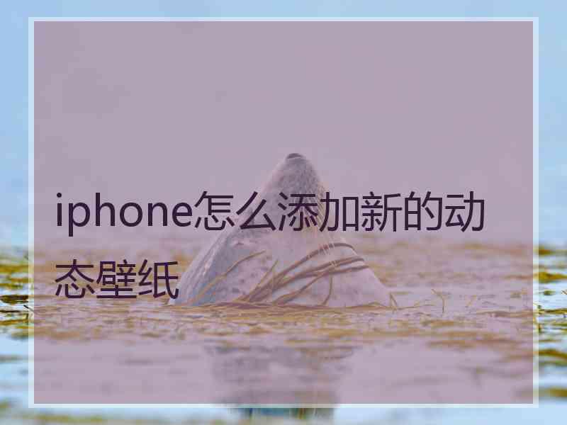 iphone怎么添加新的动态壁纸