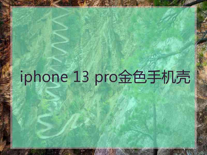 iphone 13 pro金色手机壳